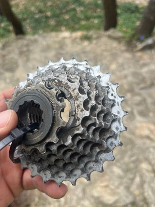 Bujes Shimano Exage 7v Plata