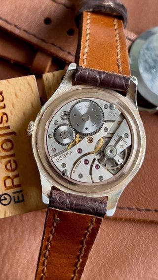 Reloj Dogma Tropical 38mm