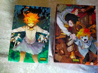 THE PROMISED NEVERLAND