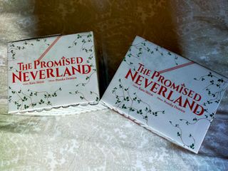 THE PROMISED NEVERLAND