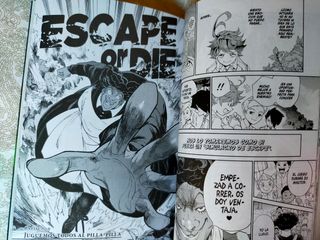 THE PROMISED NEVERLAND