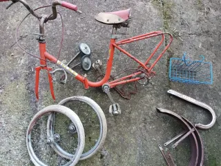 Bici Delma Vintage Bambino