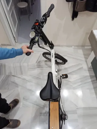 Bicicleta Eléctrica 20 modelo Ibiza dogman 04