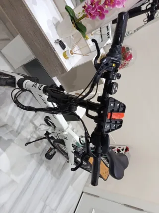 Bicicleta Eléctrica 20 modelo Ibiza dogman 04