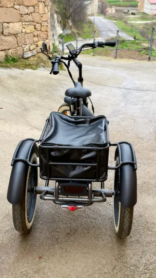 Triciclo Eléctrico Plegable Rodars Dune 3.0+ 500W