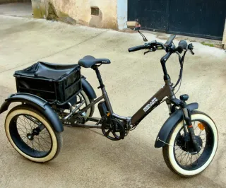 Triciclo Eléctrico Plegable Rodars Dune 3.0+ 500W