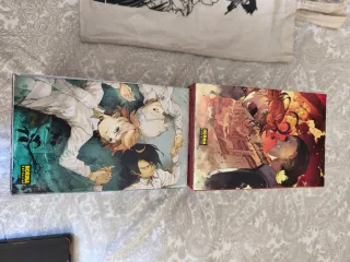 The promised neverland