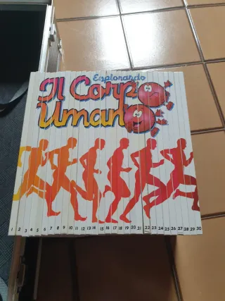 Collezione vintage Esplorando il corpo umano