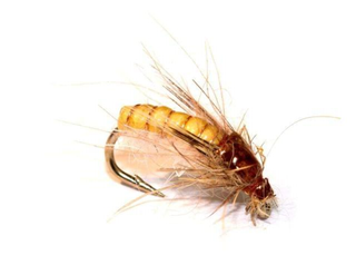 NINFAS PARA LA PESCA DE TRUCHAS