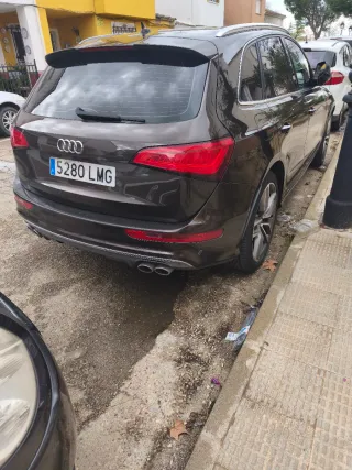 Audi SQ5 2016