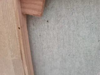 Cuadro al óleo de flores