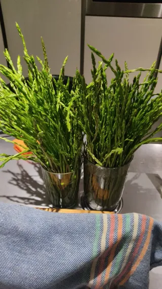 Espárragos silvestres frescos