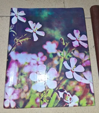 Lote 3 álbumes fotos vintage