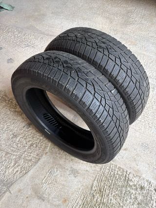 Neumáticos Dunlop 175/60 R16 86H