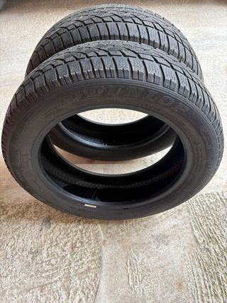 Neumáticos Dunlop 175/60 R16 86H