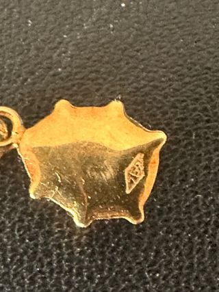 Colgante Oro 18k Mariquita Roja SOLO COLGANTE