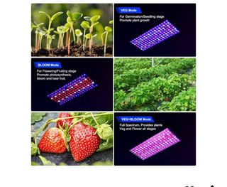 Lámpara LED  DragonLight UV IR Espectro Completo