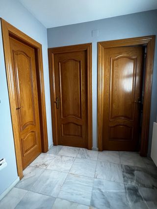 URGE VENTA! Puerta blindada y 7Puertas de madera