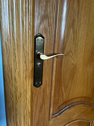 URGE VENTA! Puerta blindada y 7Puertas de madera