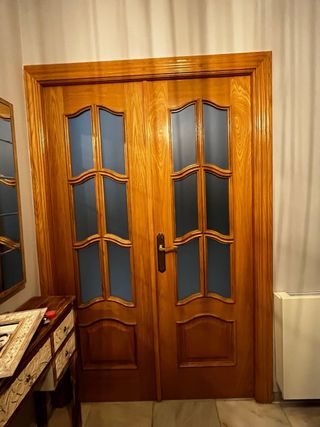 URGE VENTA! Puerta blindada y 7Puertas de madera