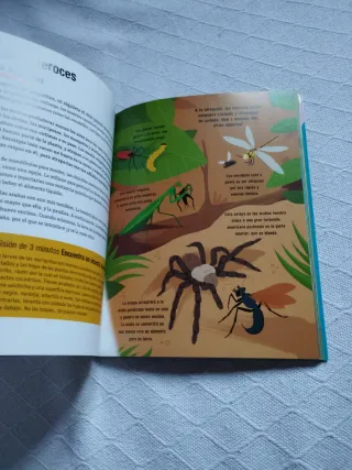 Insectos en 30 segundos