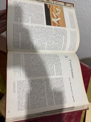 Enciclopedia Historia del Arte SALVAT