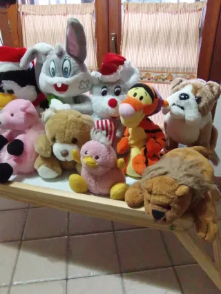 Impara a conoscere gli animali