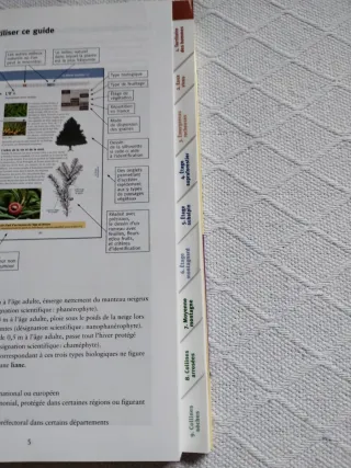 Arbres et arbustes de montagne 230 espèces dans...