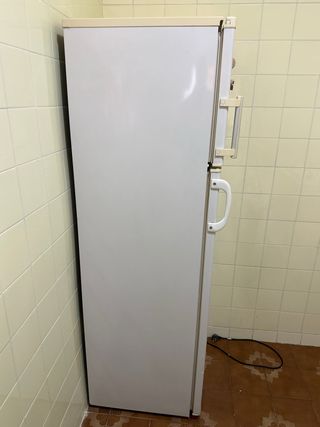 Nevera Daewoo 170cm Congelador Buen Estado