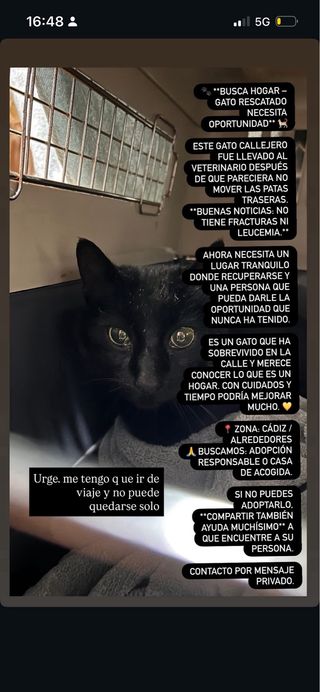 URGENTE ADOPCION O CASA DE ACOGIDA.
