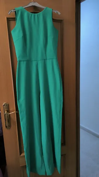 Mono verde agua marina