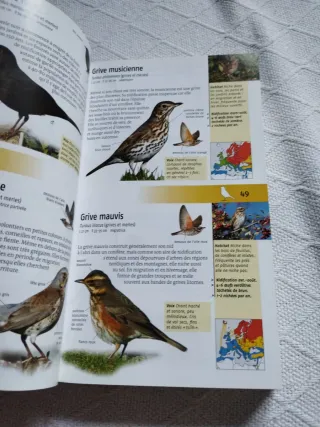 Reconnaître 1000 animaux et plantes de nos régions