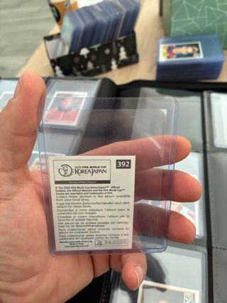 Cromos Javier Zanetti Mundial 2002