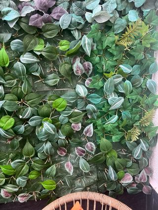 Plantas Verdes Decorativas de 25x 25