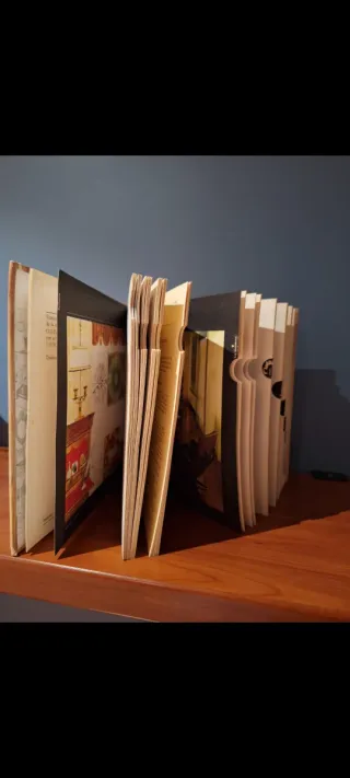 LIBRO - Enciclopedia Decoración: Vida práctica III