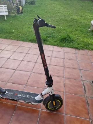 Patinete eléctrico Smartgyro Z One 2