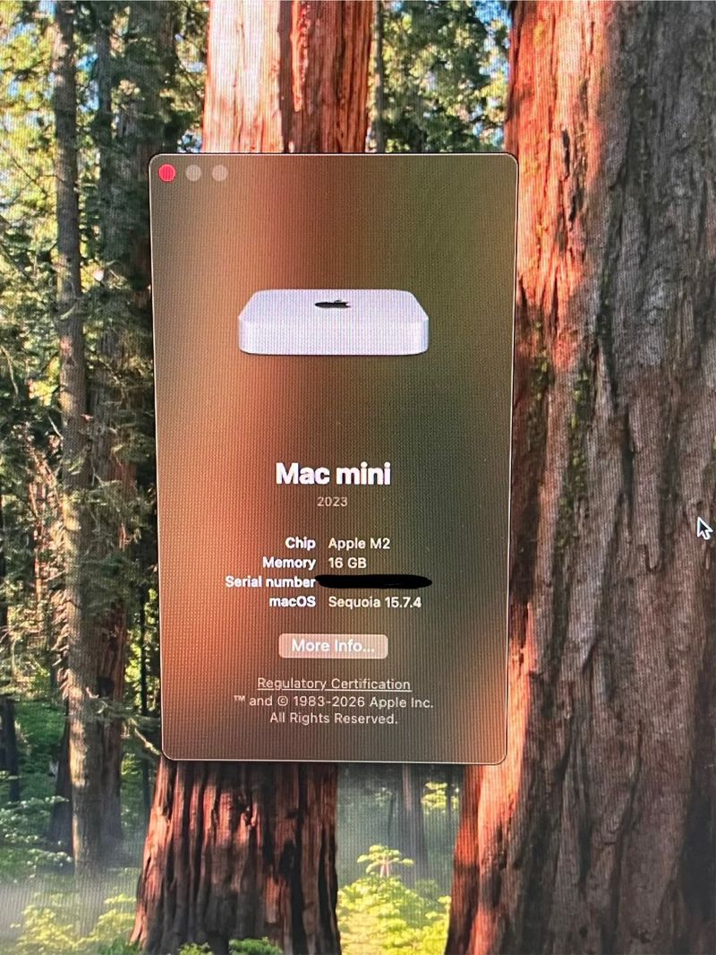 Apple Mac Mini M2 16GB 512GB 2025 afbeelding 5