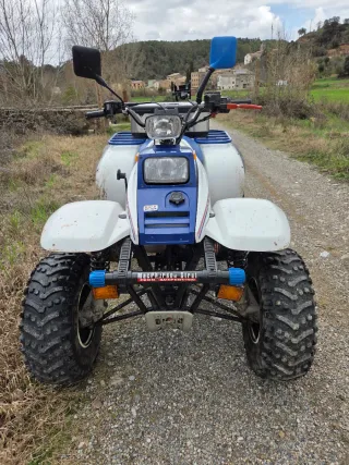 Quad Polaris Trail Boss 250cc
