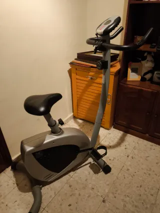 Bicicleta Estática Gris