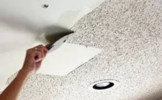 Servicios de pintura profesional