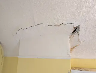 Servicios de pintura profesional