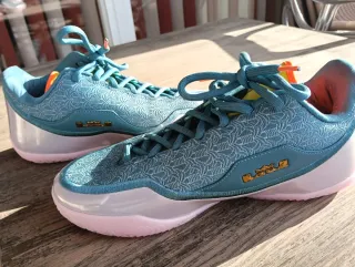 Zapatillas Baloncesto LeBron XXIII Miami Twice