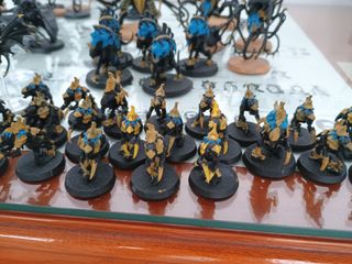 Ejército Tiranidos Warhammer 40k