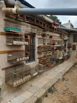 Jaulas para pájaros