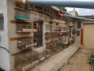 Jaulas para pájaros