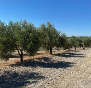 Finca rústica en Lupión