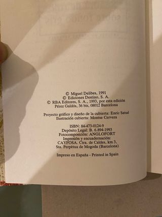 Señora De Rojo Sobre Fondo Gris