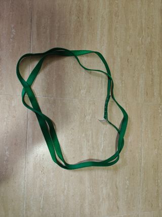 Cinta Petzl escalada