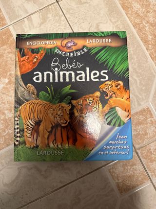 Bebés animales (Spanish Edition)
