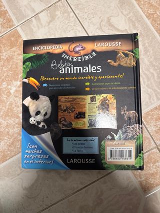 Bebés animales (Spanish Edition)